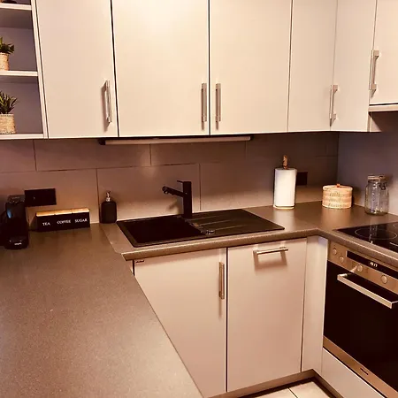 Loft Cosy Sur Le * Le Bouveret