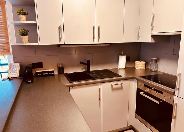 Loft Cosy Sur Le * Le Bouveret